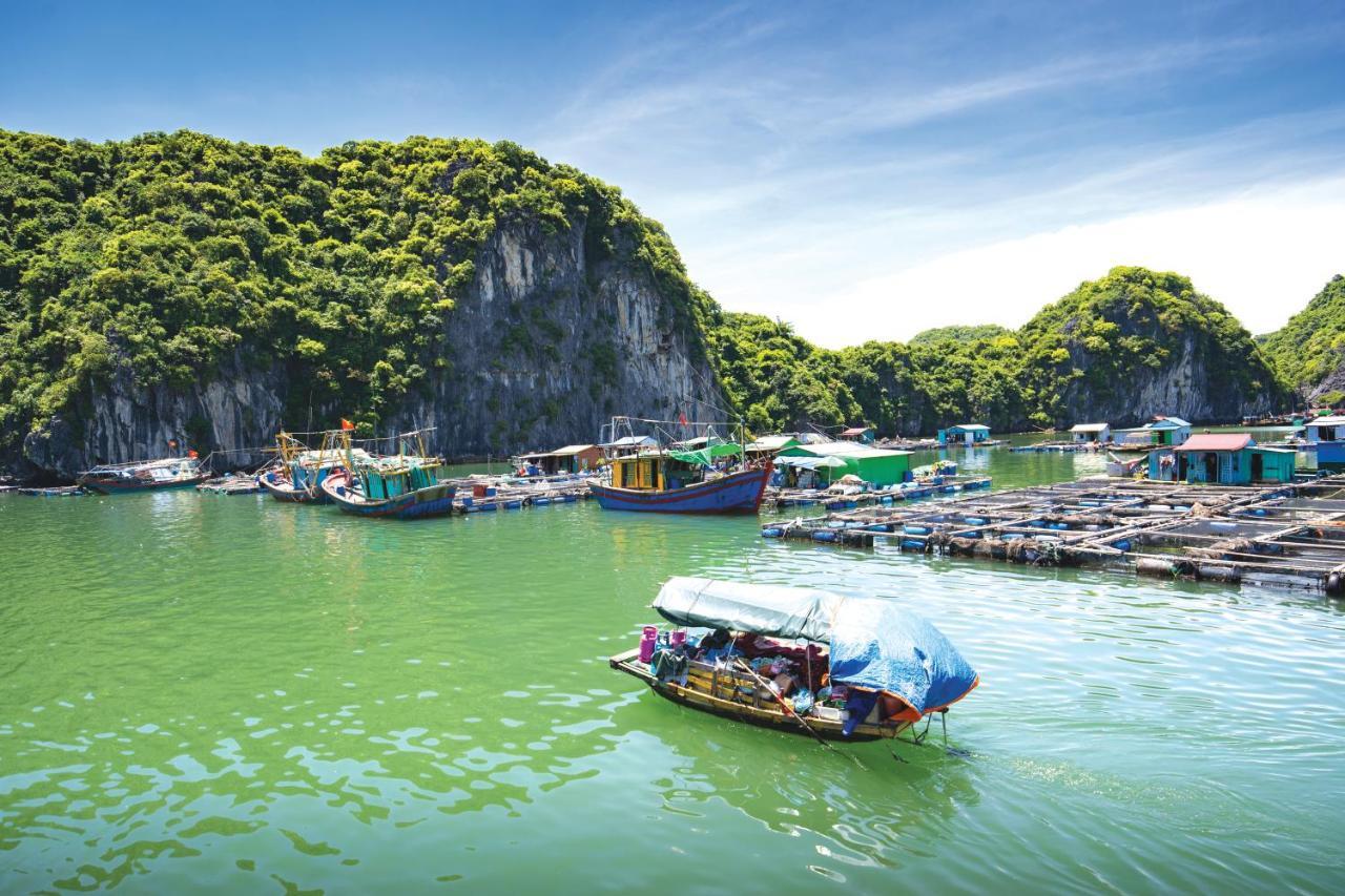 Sena Cruises - Wonder On Lan Ha Bay Hotel Ха Лонг Екстериор снимка